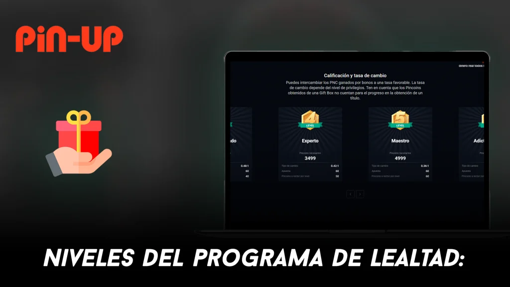 Niveles del programa de lealtad